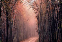 开云：足协发布转会注册规定 塞鸟、奥斯卡归化需抓紧.