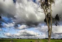 明日湖人迎战火箭 詹姆斯因左腹股沟拉伤大概率出战.