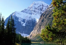 开云：足协发布转会注册规定 塞鸟、奥斯卡归化需抓紧.