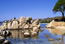 米体揭秘莫塔为何失去更衣室支持:高压管理+队长轮流+打压功勋.